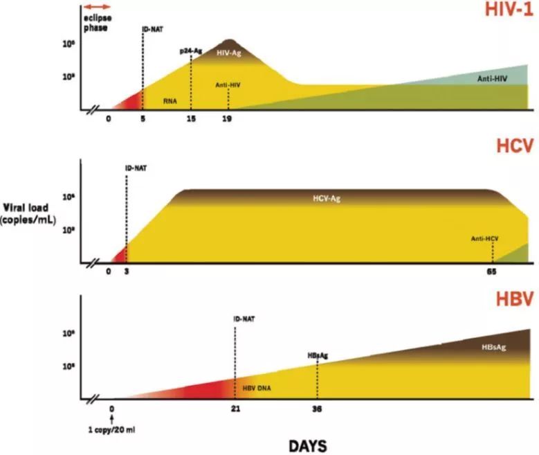 感染各標(biāo)志物檢測的“窗口期”示意圖